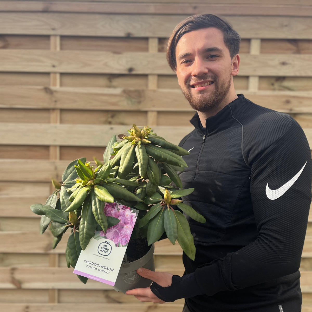 A man in a black sports jacket smiles while holding a Rhododendron Roseum Elegans 2-5L flowering shrub with a label, standing in front of a wooden fence.