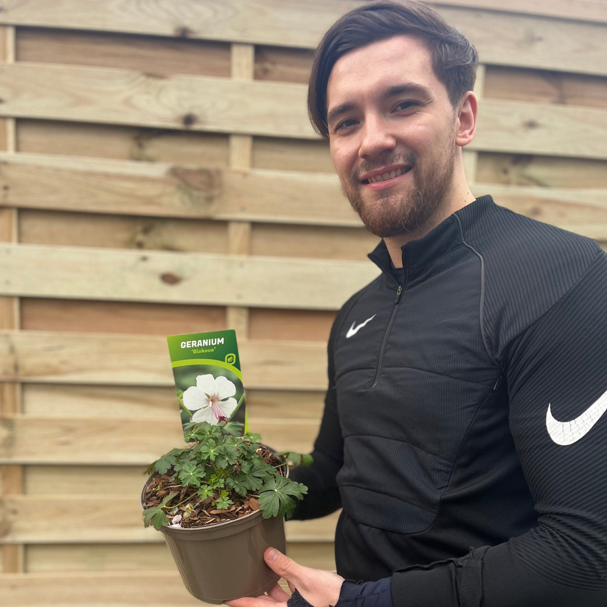 Geranium &#39;Biokovo&#39; 9cm/2L