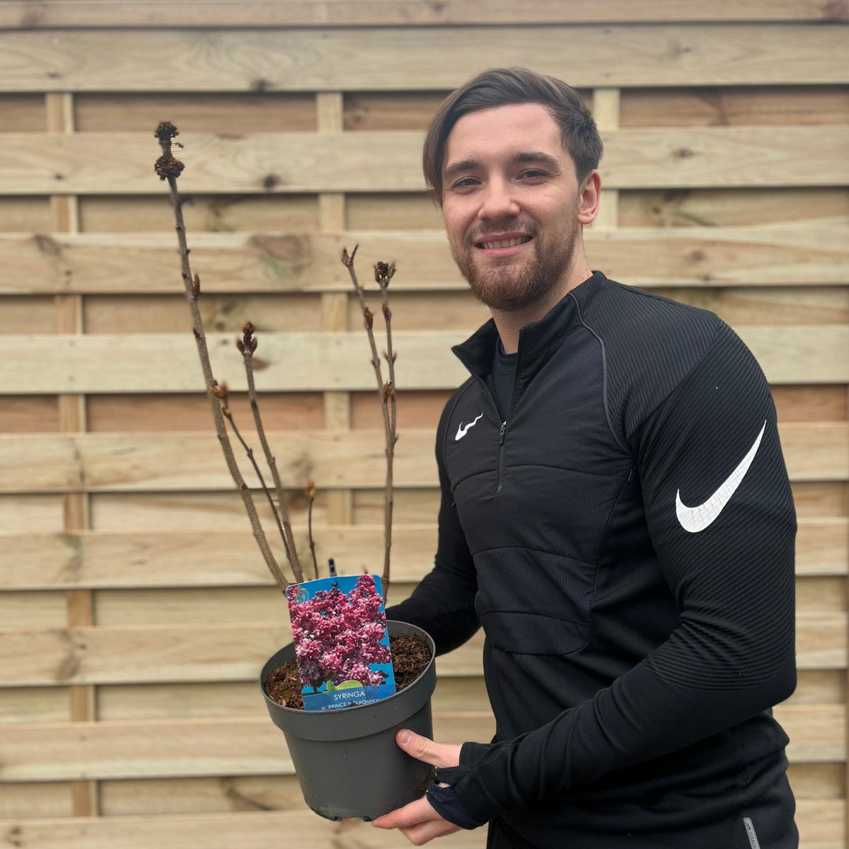 A man in a black Nike tracksuit smiles while holding a 3L potted Syringa vulgaris &#39;Prince Volkonsky&#39; (Lilac) with a tag showing pink flowers, standing by a wooden fence, ready to plant this butterfly-attracting shrub.