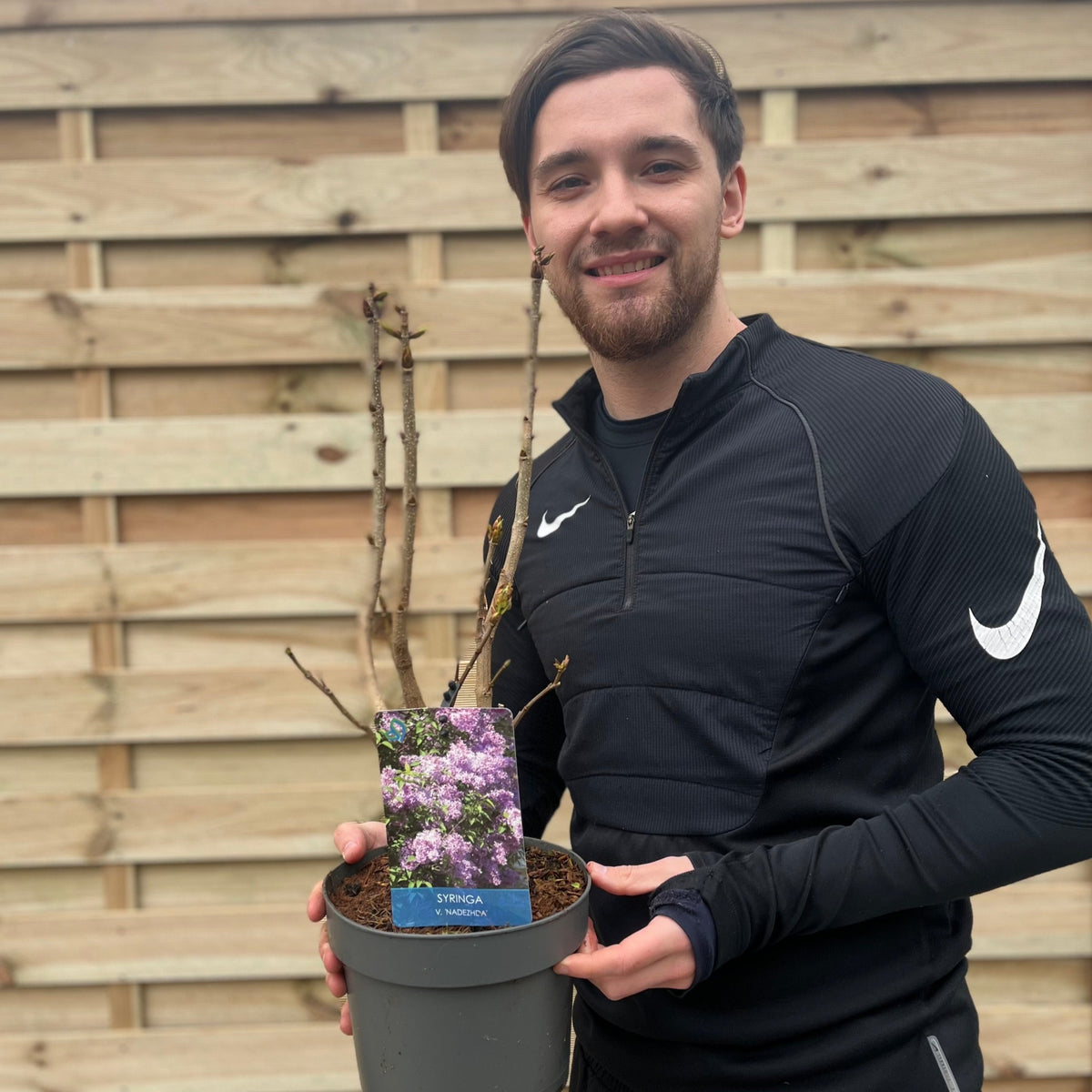 A man in a black Nike jacket stands smiling by a wooden fence, holding a Syringa vulgaris &#39;Nadezhda&#39; (Lilac) 3L with a label showing fragrant lilac flowers.
