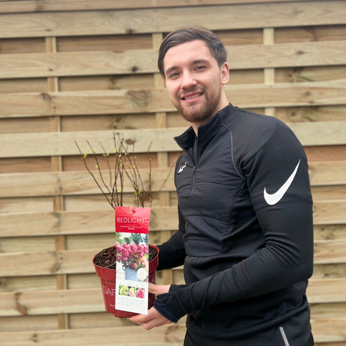 A smiling man in a black Nike tracksuit holds a Hydrangea paniculata &#39;Red Light&#39; 2L / 5L and its label in front of a wooden fence, showing off the plant&#39;s long-lasting flowers.