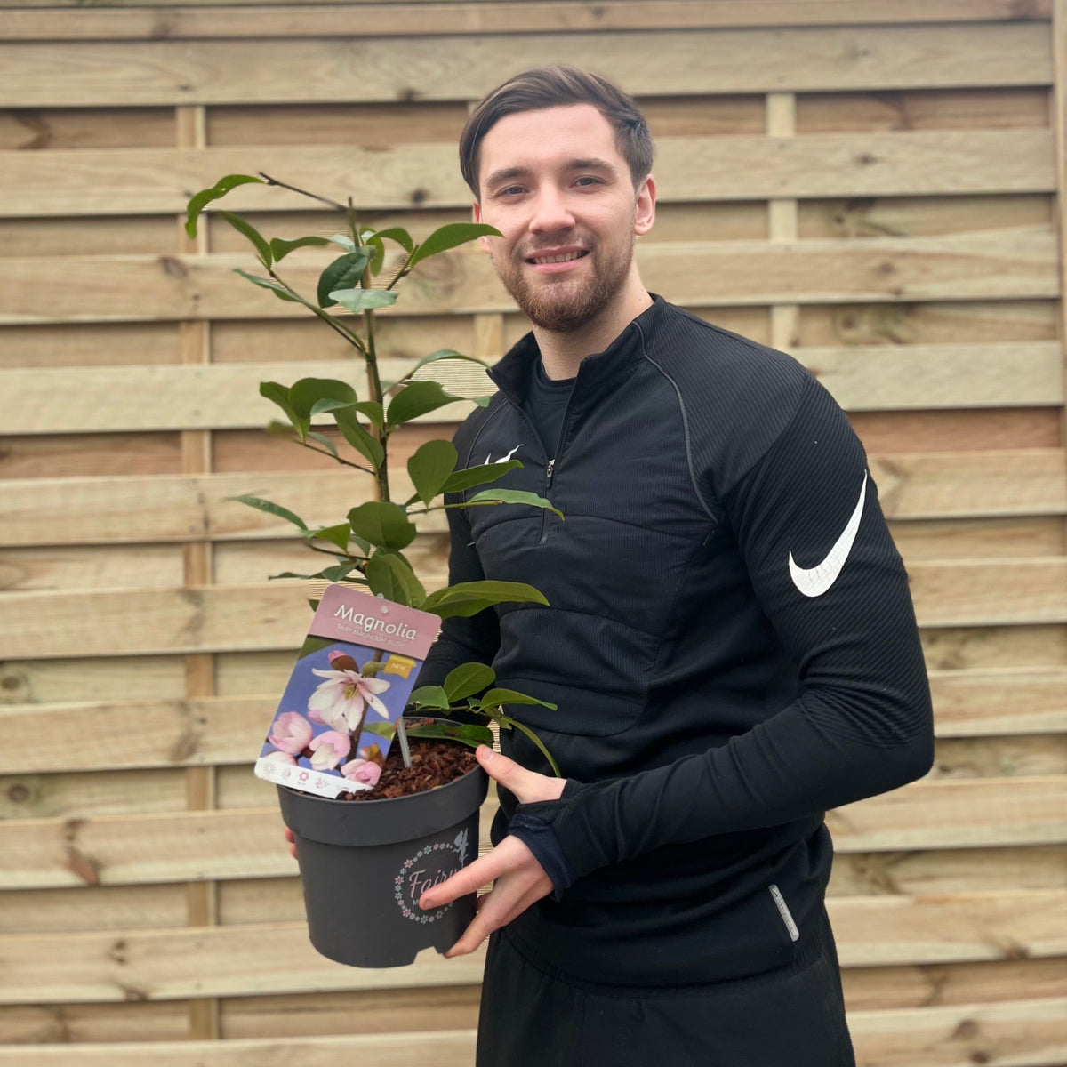 A smiling man in a black athletic outfit holds an Evergreen Magnolia | Fairy Magnolia Blush | 60-70cm with pink flowers in front of a wooden fence.