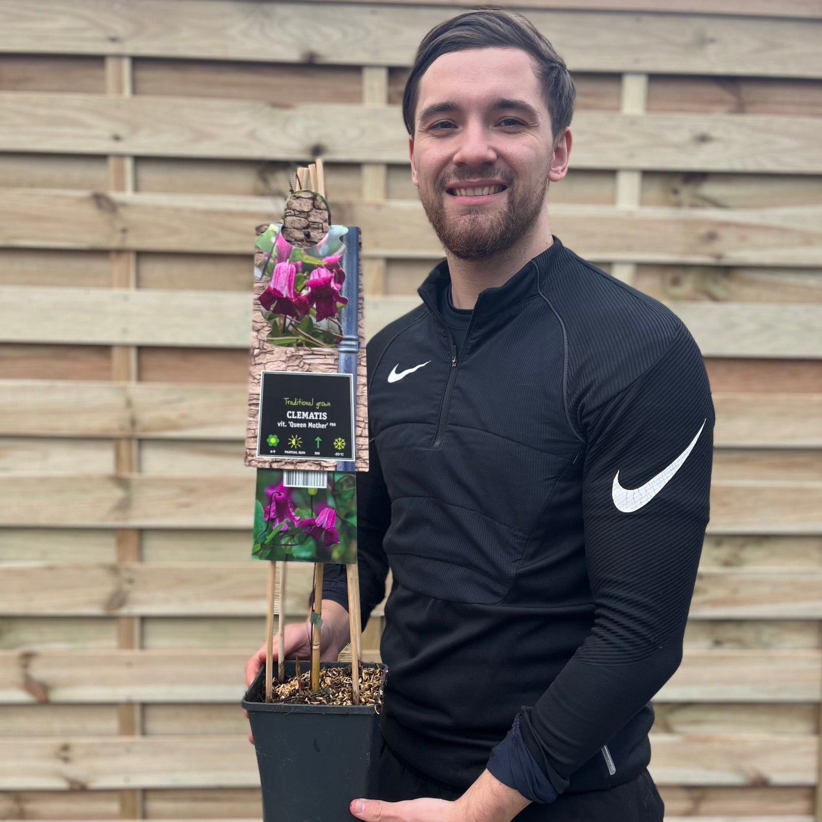 Clematis 'Queen Mother ' 75cm