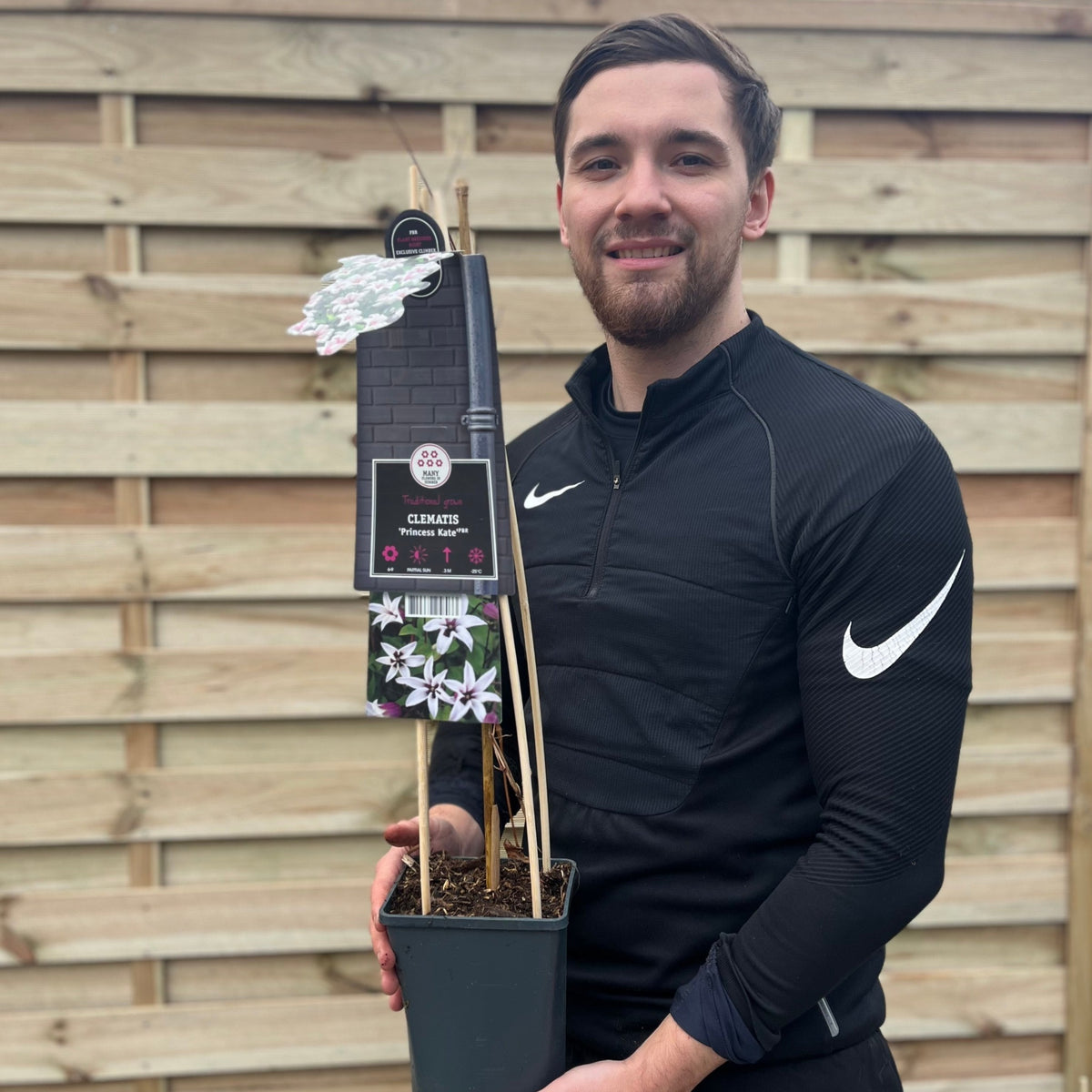 Clematis &#39;Princess Kate&#39; 75cm