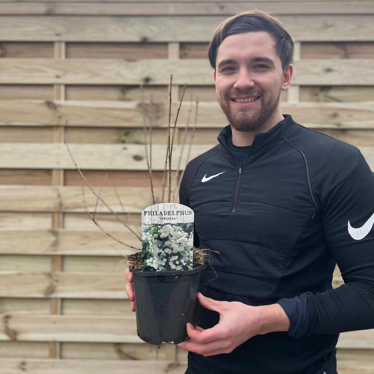 A smiling man in a black Nike top holds a Philadelphus &#39;Virginal&#39; | Mock Orange (available in 9cm, 2L, or 5L pots), a deciduous shrub with fragrant white flowers, standing before a wooden fence.