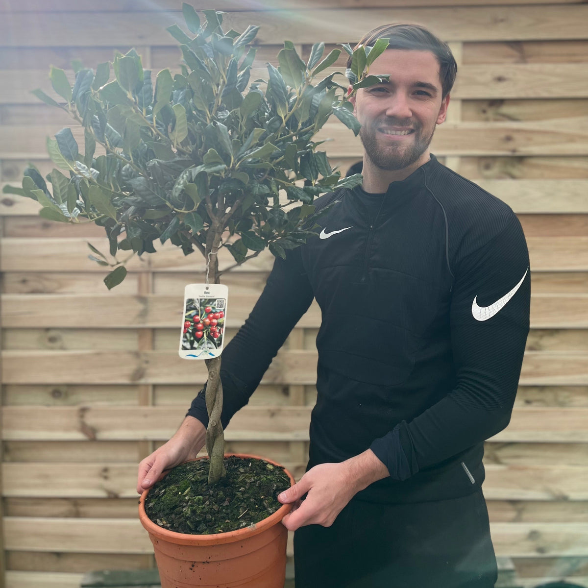 A man in a black Nike tracksuit smiles while holding a Standard Plaited Holly Tree (Ilex &#39;Nellie Stevens&#39;, 100cm) with a twisted trunk, standing in front of a wooden fence. A plant tag with photos hangs from a branch.