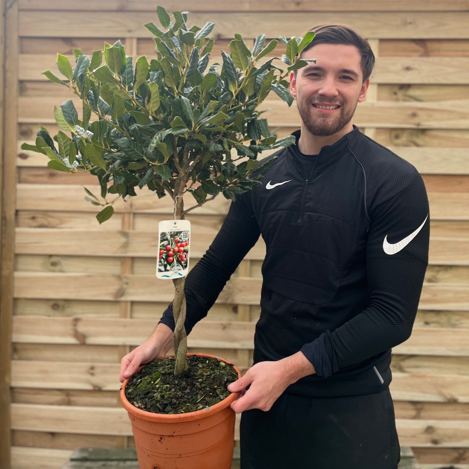 A man in a black Nike tracksuit smiles while holding a Standard Plaited Holly Tree (Ilex 'Nellie Stevens', 100cm) in a pot with fruit images, standing outdoors in front of a wooden fence.