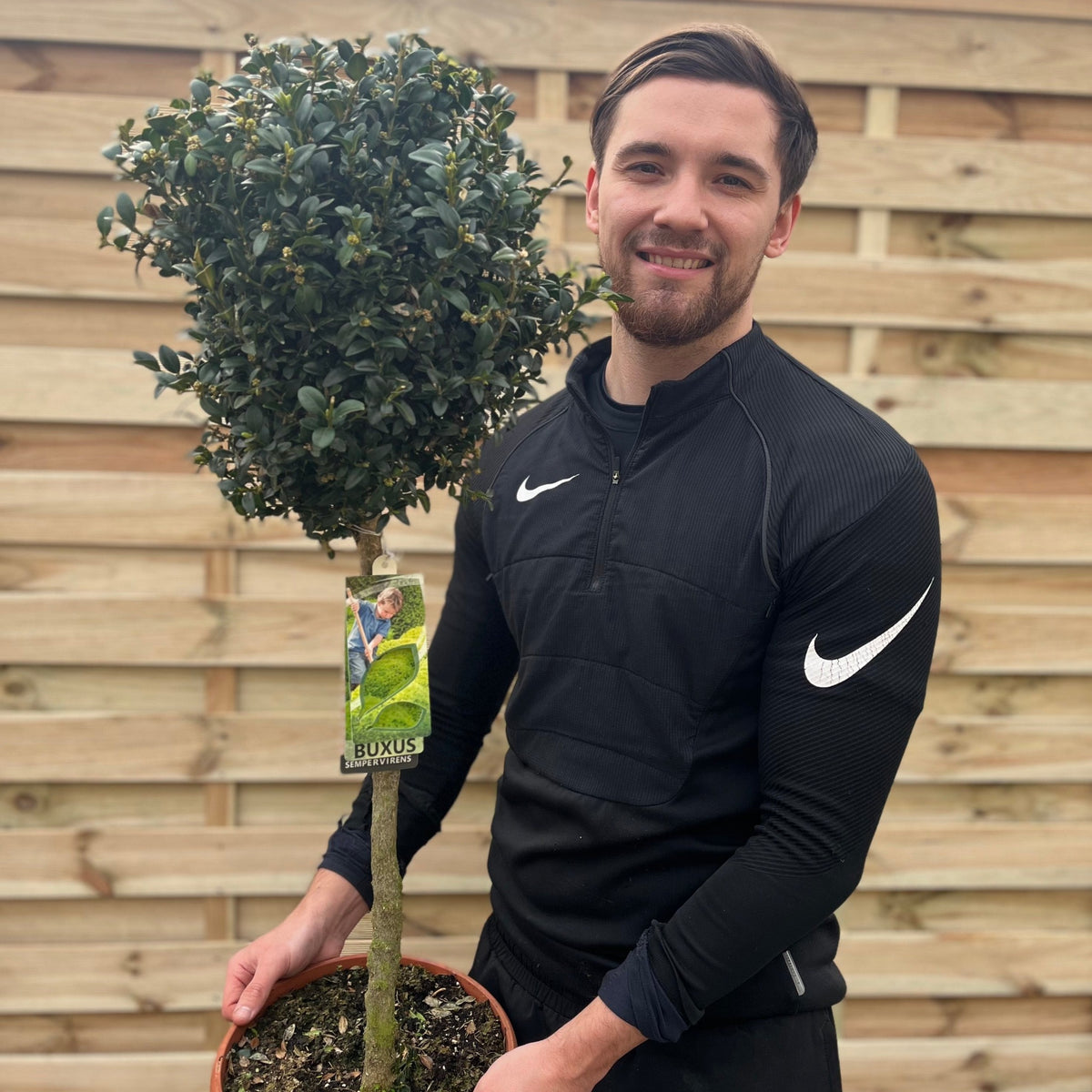 A man in a black Nike tracksuit smiles, holding a Buxus Topiary Ball on Stem (Buxus sempervirens Topiary, 80-90cm/160cm) with a round crown and tag, standing in front of a wooden fence.