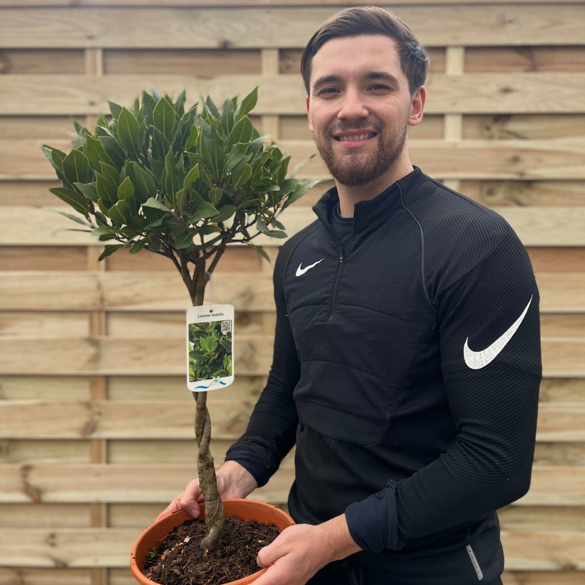 A man in a black Nike jacket smiles while holding a 5L Braided Stem Standard Bay Tree (Laurus nobilis, 75-85cm) in front of a wooden fence—an ideal patio tree.