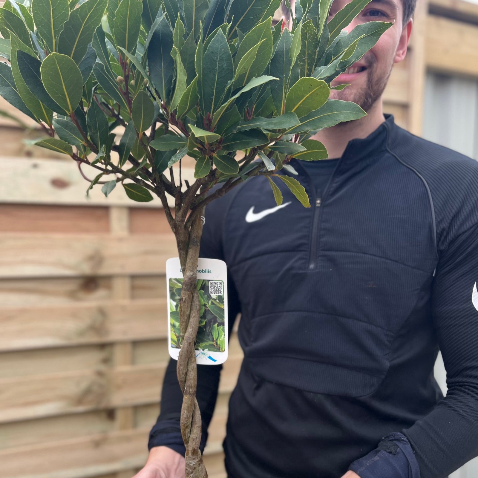 A man in a black Nike jacket smiles while holding a 5L Braided Stem Standard Bay Tree (Laurus nobilis, 75-85cm) in front of a wooden fence—an ideal patio tree.