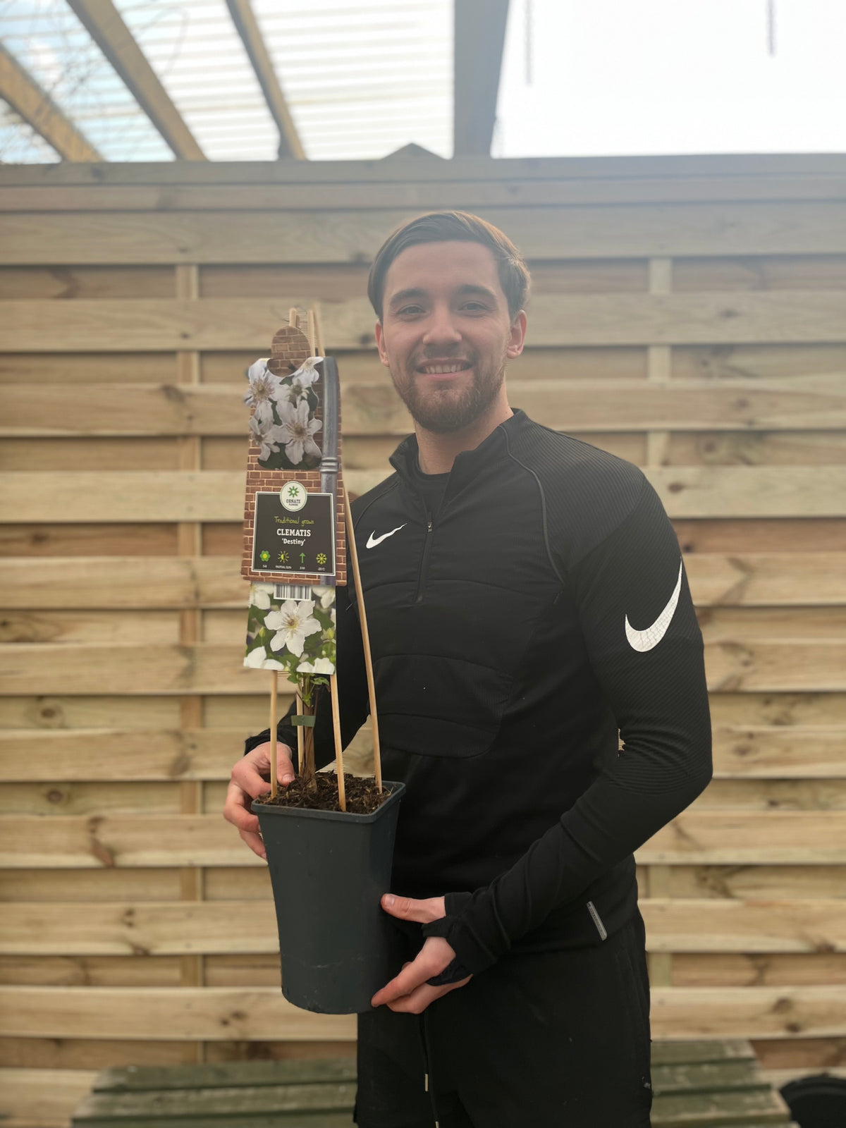A smiling person in black athletic wear stands outdoors by a wooden fence, holding a potted Clematis &#39;Destiny&#39; 60cm with striking white blooms and a label attached to a support stick.