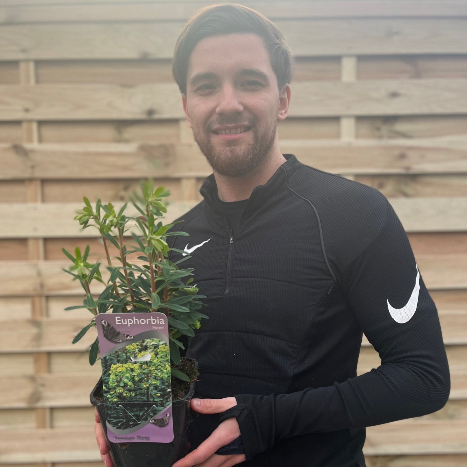 Clusters of small, yellow-green flowers with dark centers grow on green stems and leaves, making Euphorbia x martinii 2L a dense, vibrant, low-maintenance plant—ideal for adding color to gardens or growers pots.