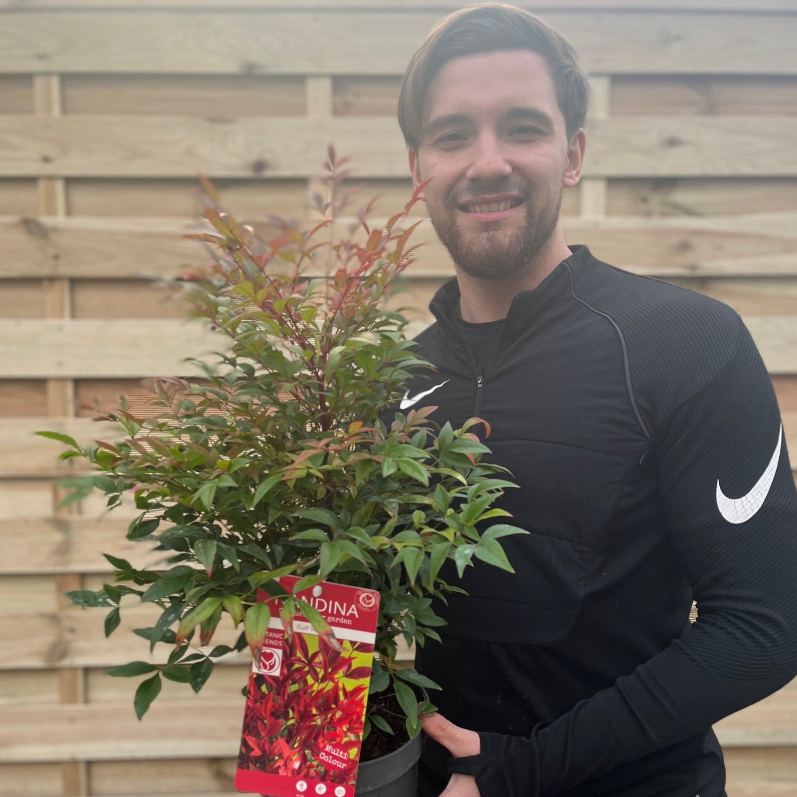 A smiling man in a black Nike jacket holds a Nandina domestica 'Gulf Stream' (Heavenly Bamboo) 2L with red and green leaves in front of a wooden fence.