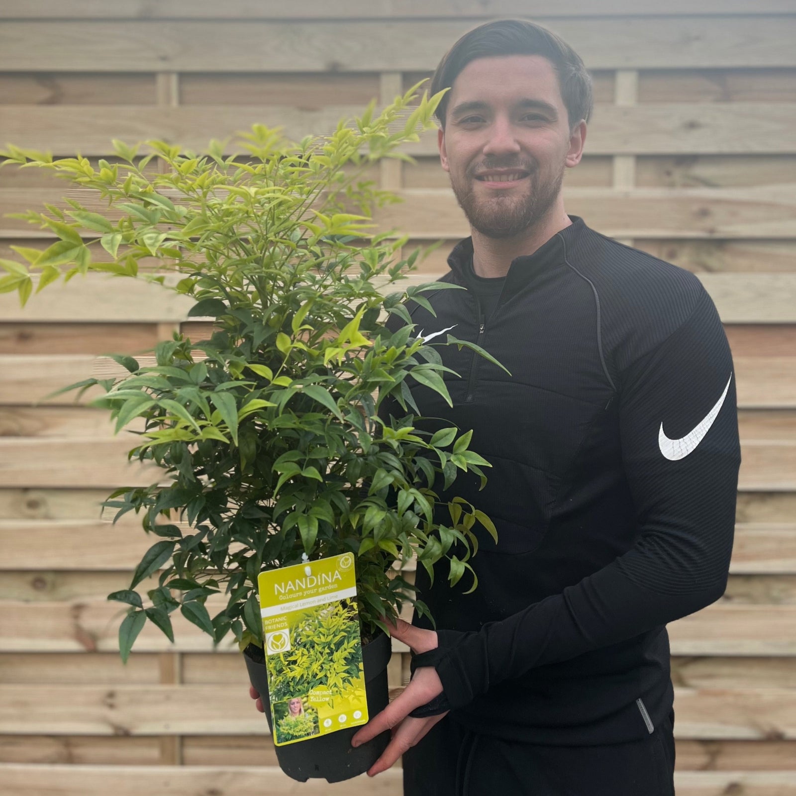 A smiling person in a black Nike sweatshirt holds a Nandina domestica 'Lemon and Lime' (9cm/2L) with green leaves and a yellow label, standing in front of a wooden fence.