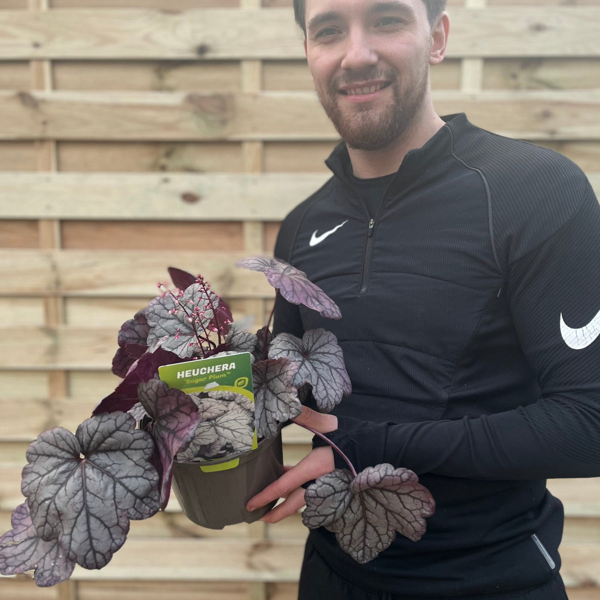 A smiling man in a black Nike tracksuit holds a Heuchera &#39;Sugar Plum&#39; 2L, a perennial with vibrant foliage, while standing in front of a wooden fence.