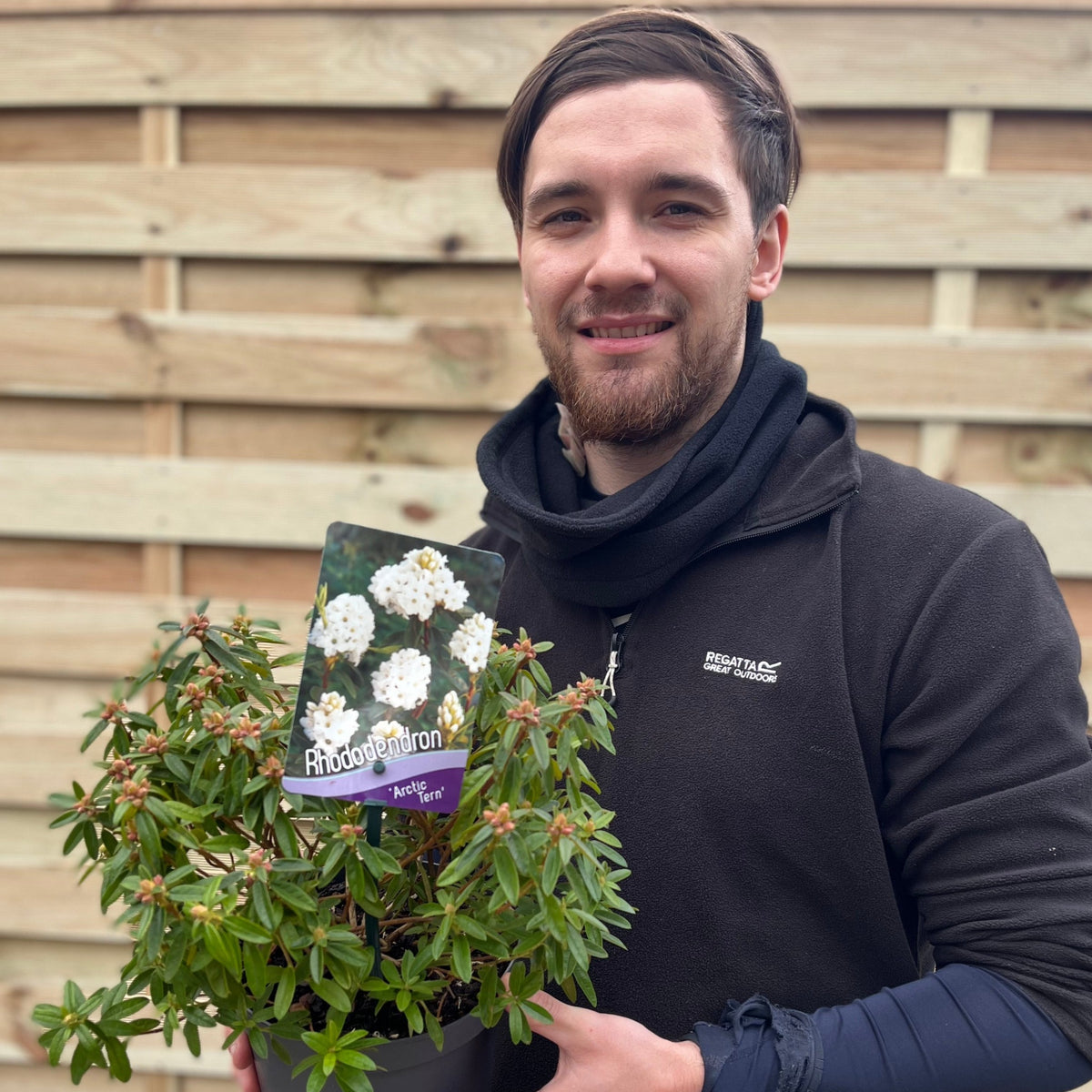 A man in a black jacket stands by a wooden fence, smiling and holding a 2L Rhododendron Dwarf White ‘Arctic Tern’ with a label showing its hardy, evergreen nature and beautiful white flowers.