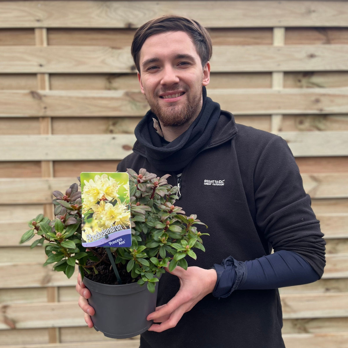 A man with short brown hair and a beard smiles while holding a Rhododendron &#39;Princess Ann&#39; | Dwarf Rhododendron 2L with a yellow flower label, standing in front of a wooden fence.