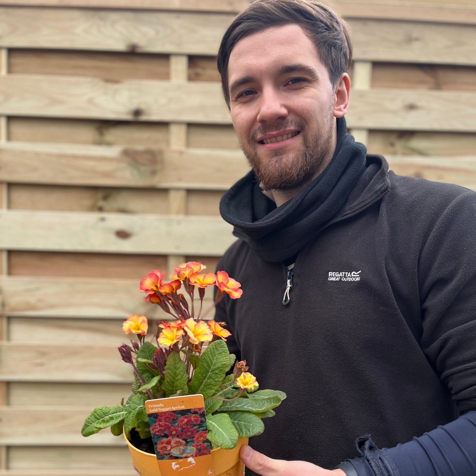 A man in a black jacket smiles while holding a Primula 'Golden Nugget' 2L—a yellow spring-flowering perennial—perfect for patio containers, in front of a wooden fence.
