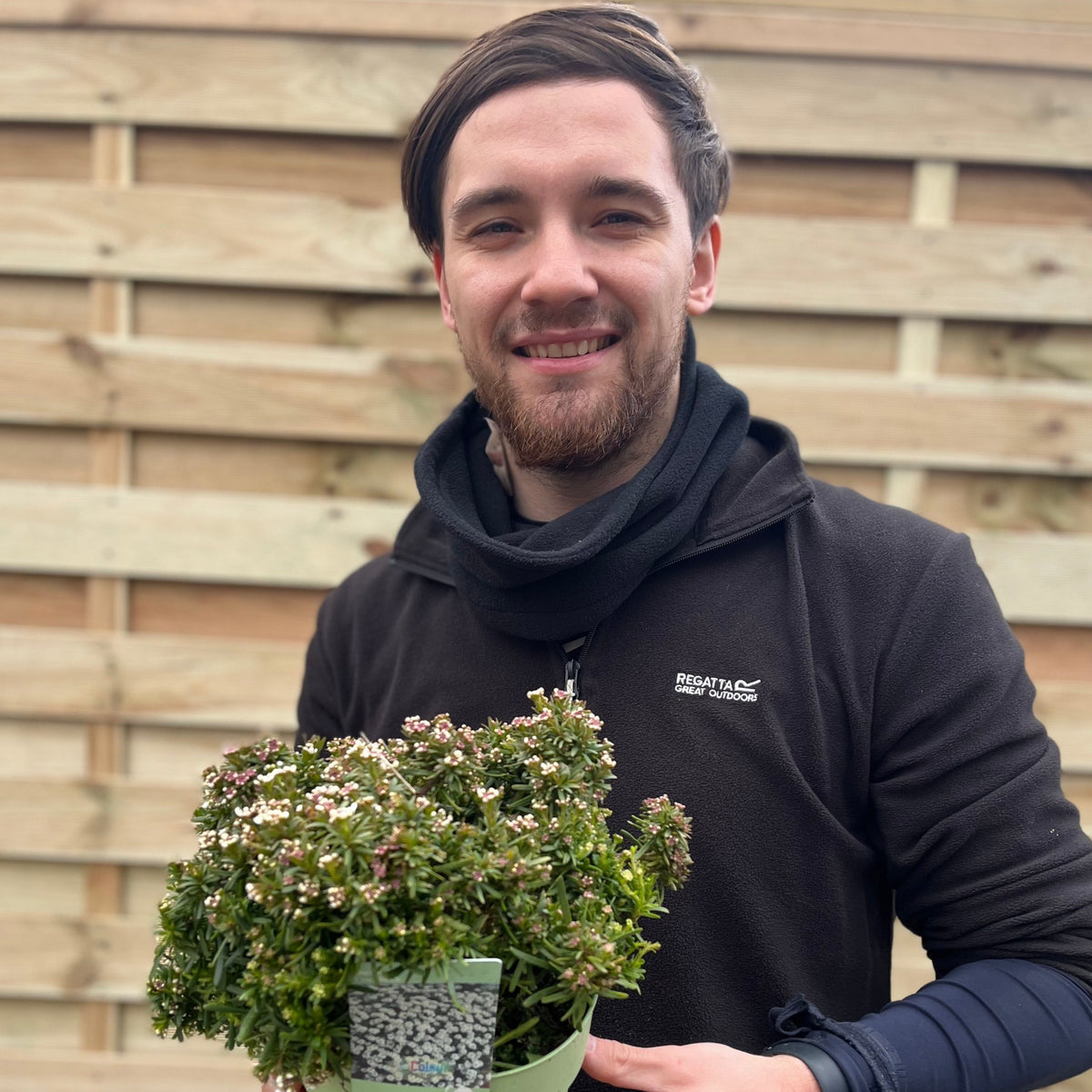 A smiling man with dark hair and a beard holds an Iberis sempervirens &#39;Fishbeck&#39; 2L, an evergreen perennial with small white flowers, while standing in front of a wooden fence. He wears a black jacket and a scarf.