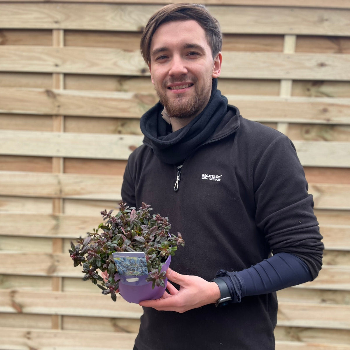 A smiling man in a dark jacket holds an Ajuga &#39;Chocolate Chip&#39; 9cm/2L, a groundcover perennial with purple leaves, while standing in front of a wooden fence.