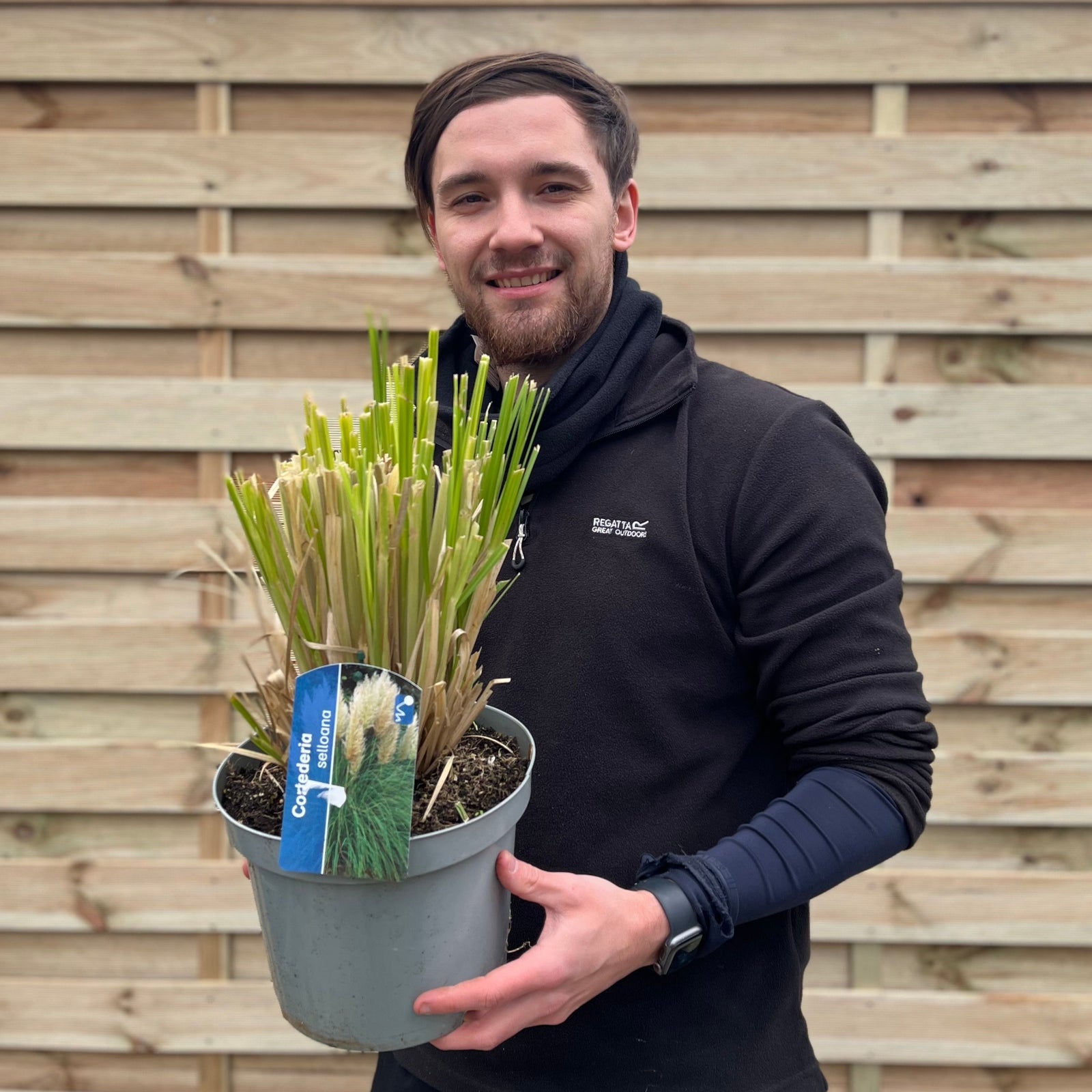 A bearded man with medium-length hair and a black t-shirt stands outdoors, holding a Pampas Grass - Cortaderia selloana Pumila 2L/5L in front of a corrugated metal fence and wooden beam.