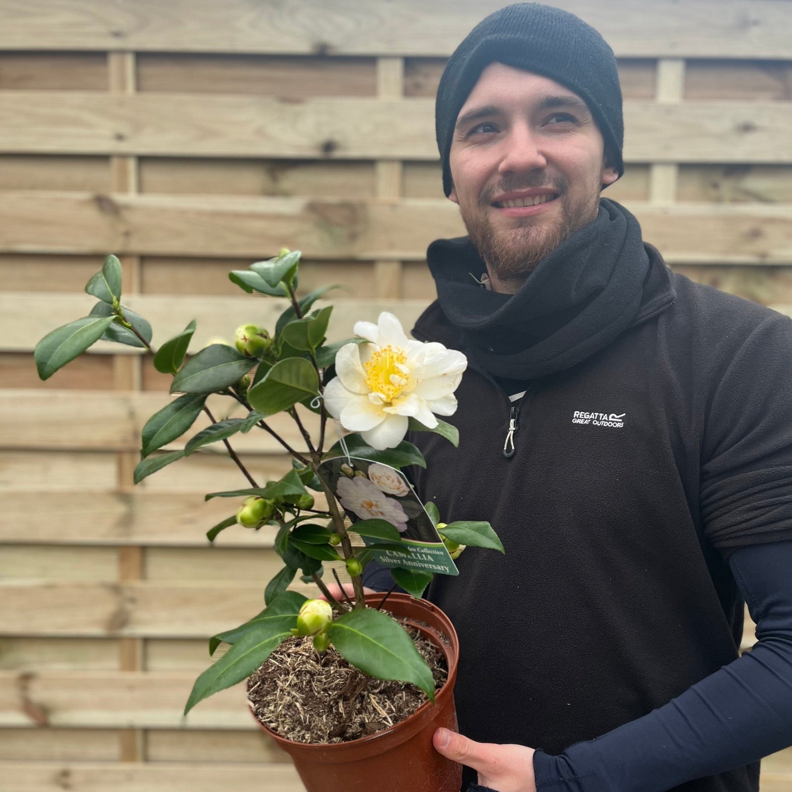 A person in a black hat and scarf smiles while holding a Camellia japonica 'Silver Anniversary' 9cm/3L—an evergreen shrub with green leaves and a large white flower—in front of a wooden fence.