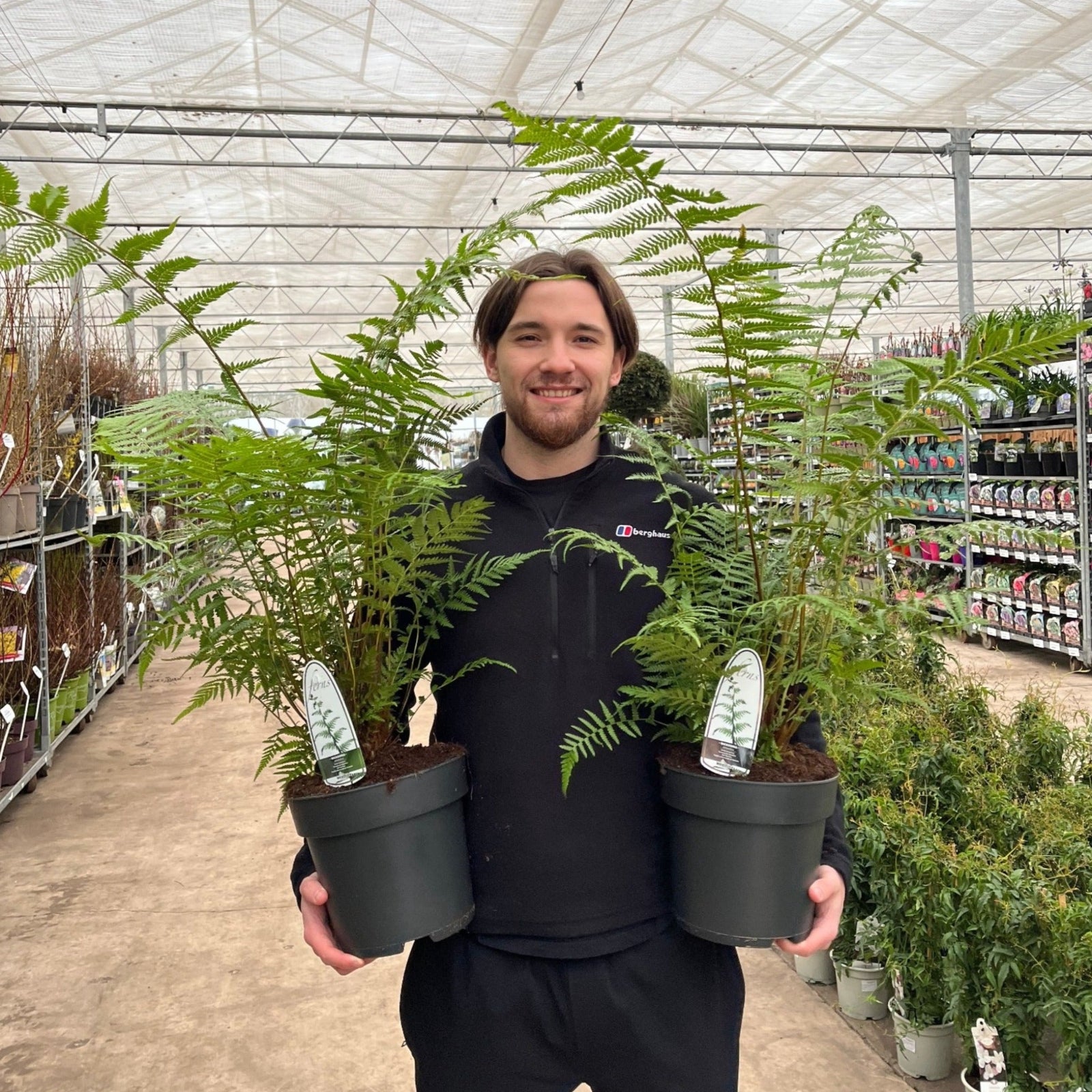 A person in black smiles while holding a Dicksonia antarctica 'Tree Fern' 1/2/5L inside a spacious garden center filled with rows of plants and flowers on display.