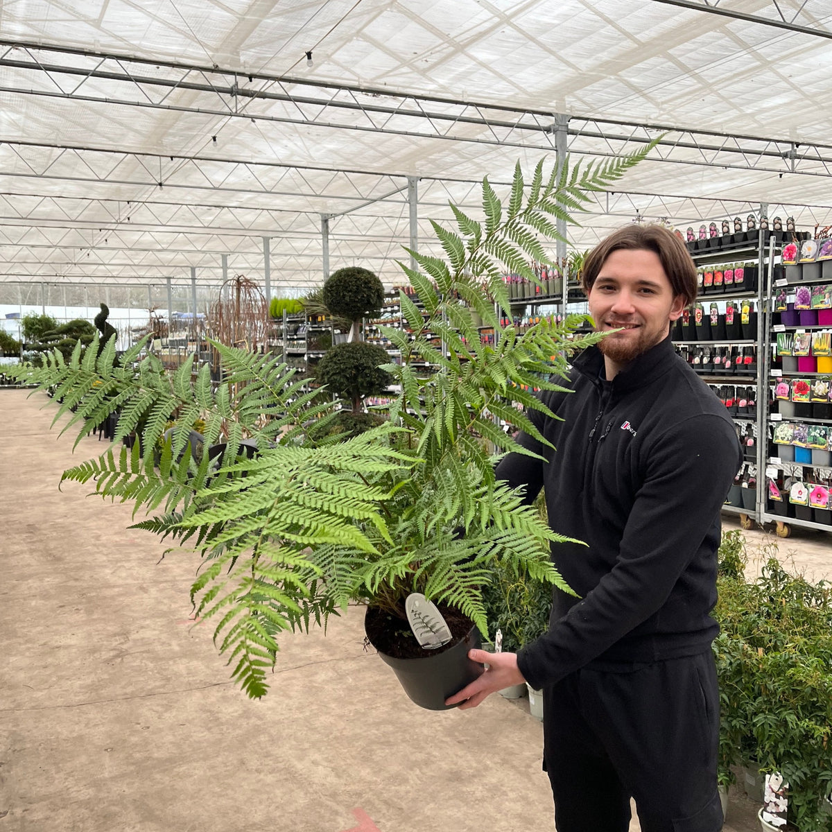 A person in black smiles while holding a Dicksonia antarctica &#39;Tree Fern&#39; 1/2/5L inside a spacious garden center filled with rows of plants and flowers on display.