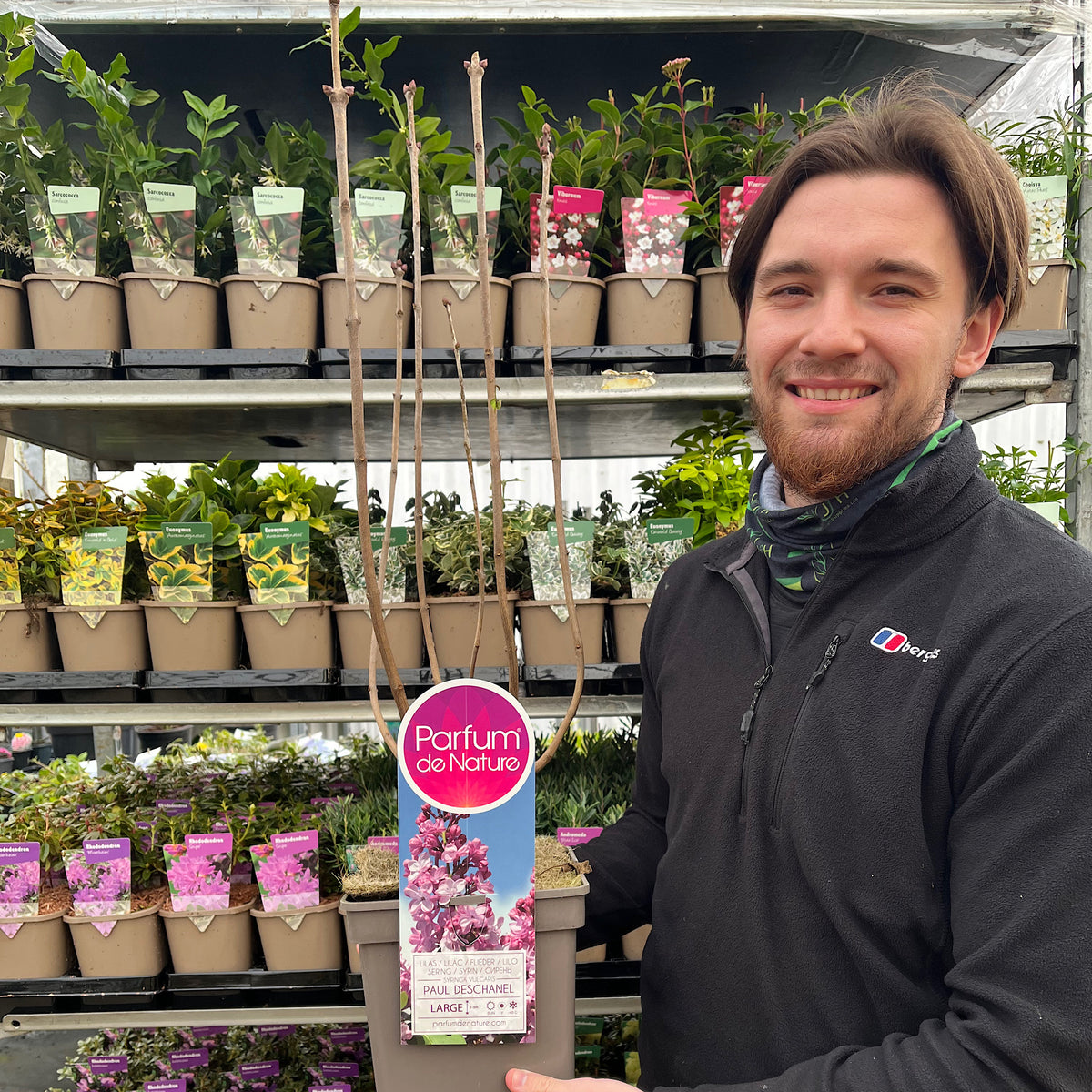 A bearded man in a dark jacket smiles while holding a potted Syringa vulgaris &#39;Paul Deschanel&#39; (Lilac) at a garden center, surrounded by fragrant flowers and lush greenery.