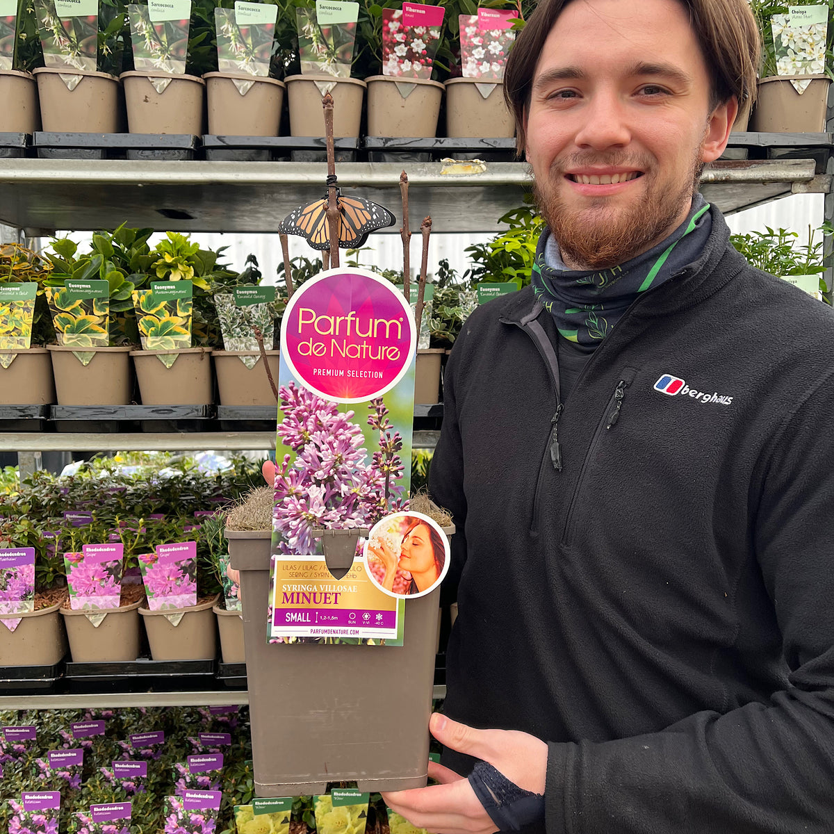 A person smiles while holding a Syringa &#39;Minuet&#39; (Lilac) 5L in a garden center, surrounded by shelves of fragrant lilac and compact lilac shrub varieties.