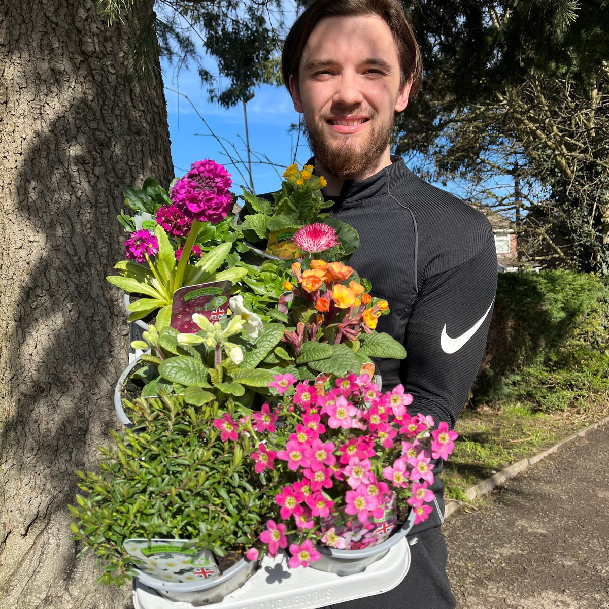 A smiling man in a black long-sleeve shirt holds a white tray with the &quot;Special Offer - Mix of 5 Spring Flowering Perennials,&quot; featuring vibrant pink, yellow, and purple blooms, standing outdoors by a tree on a sunny day.
