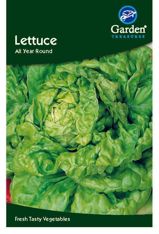 A packet of Lettuce Seeds - All year round features a close-up of fresh green lettuce. Ideal for growing compact lettuce in spring, summer, or autumn. Fresh, tasty vegetables for your garden.