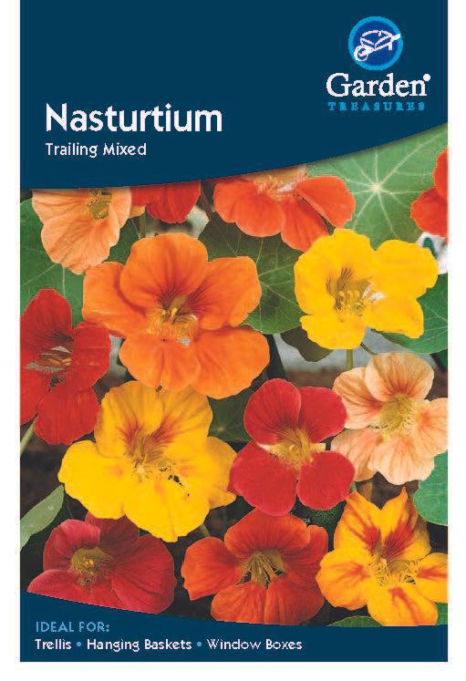 Nasturtium Trailing Mixed is a hardy annual with bright orange, red, and yellow flowers and green leaves, perfect for trellises, hanging baskets, or window boxes.
