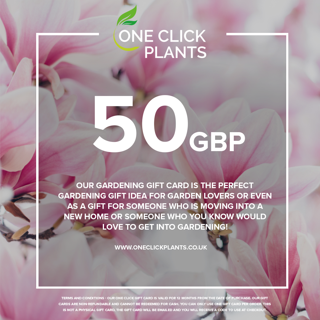 A One Click Plants Gardening Gift Card (£25–£300) is shown against green and white leaves, promoted as the perfect gift idea for garden lovers or new homeowners.