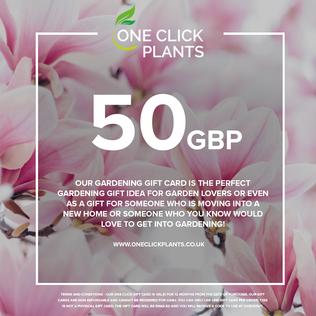 One Click Plants Gardening Gift Card from £25 to £300
