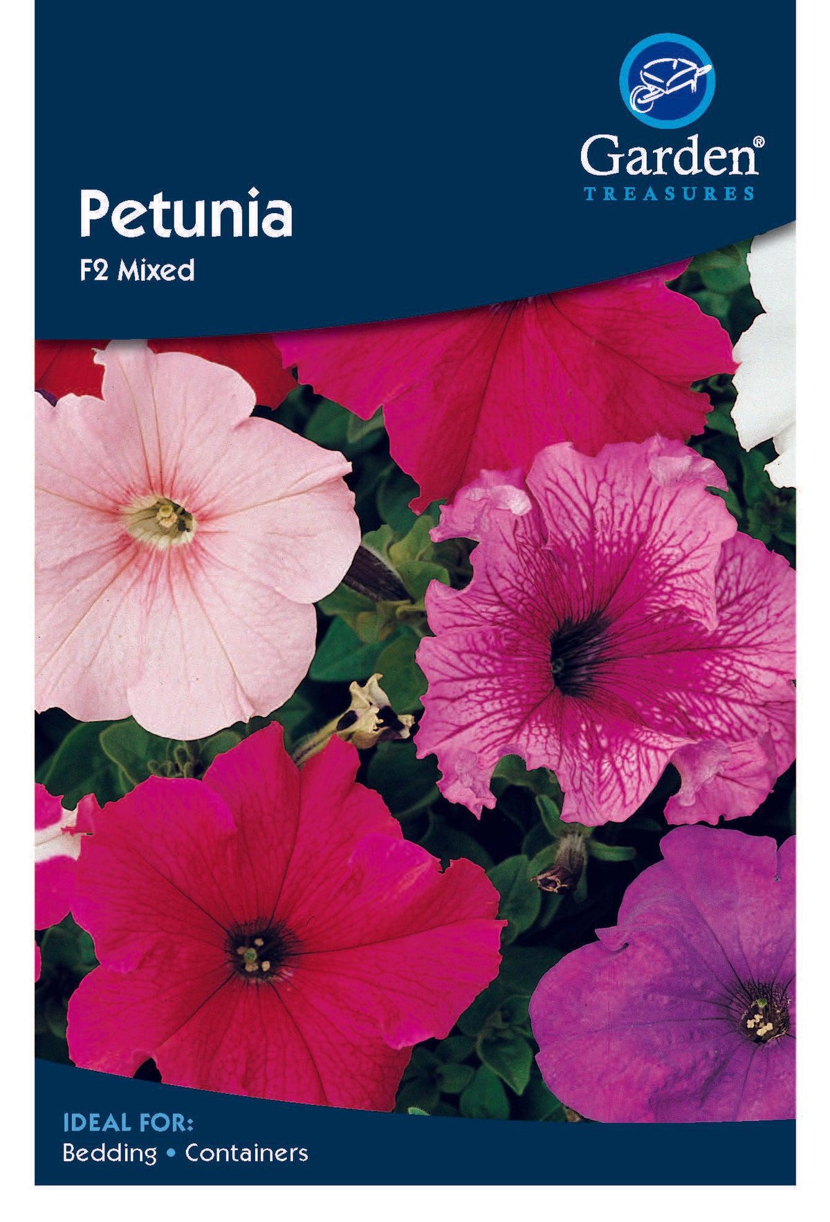 Petunia F2 Mixed by Garden Treasures offers large pink, purple, and red blooms. Ideal for bedding and containers, these hardy annuals are compact plants perfect for vibrant garden displays.