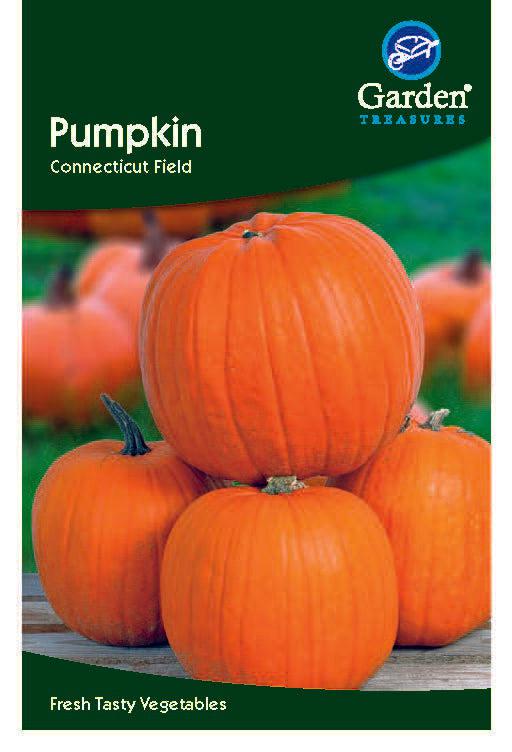 A seed packet labeled Pumpkin Seeds from Garden Treasures displays large, bright orange pumpkins ideal for Halloween, stacked on green grass. Bottom text reads Fresh Tasty Vegetables.