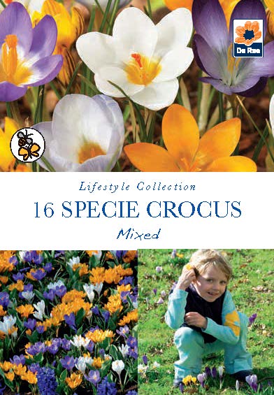 Specie Crocus Mixed (16 Bulbs)