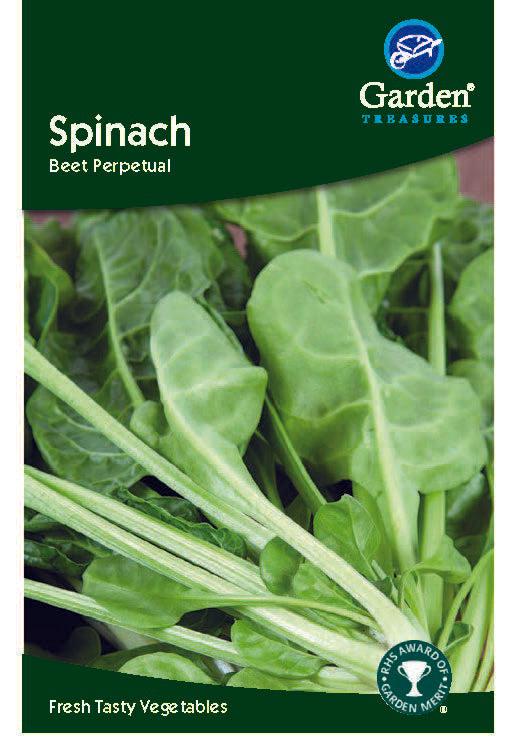A packet of Spinach (Beet Perpetual) Seeds features a close-up of dark green leaves and &quot;Fresh Tasty Vegetables&quot; at the bottom—an excellent spinach substitute with a long harvest period.