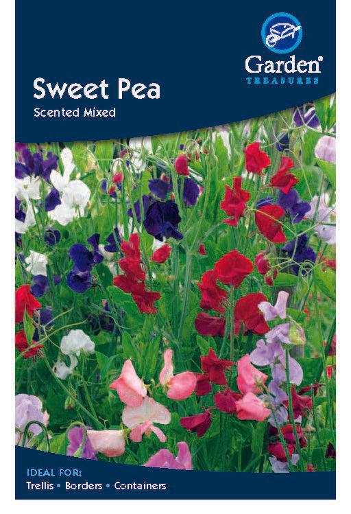 A colorful packet of Sweet Pea Scented Mixed seeds displays red, pink, purple, and white blooms. These hardy annuals are perfect for trellises, borders, containers, or as fragrant cut flowers.