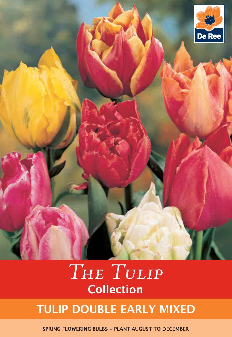 A vibrant display of double tulips in red, yellow, pink, and white with lush green leaves. Labeled “Tulip Double Early Mixed (4 Bulbs)” with planting details and tulip bulbs shown at the bottom.