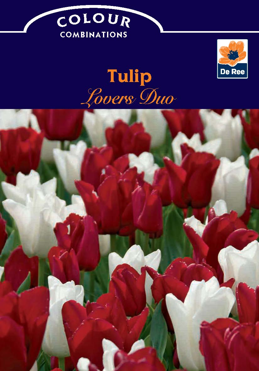 A field of White and Red tulips adorns the Tulip Lovers Duo (6 Bulbs) packaging, labeled Colour Combinations with a De Ree logo—perfect inspiration for planting tulip bulbs in your garden.