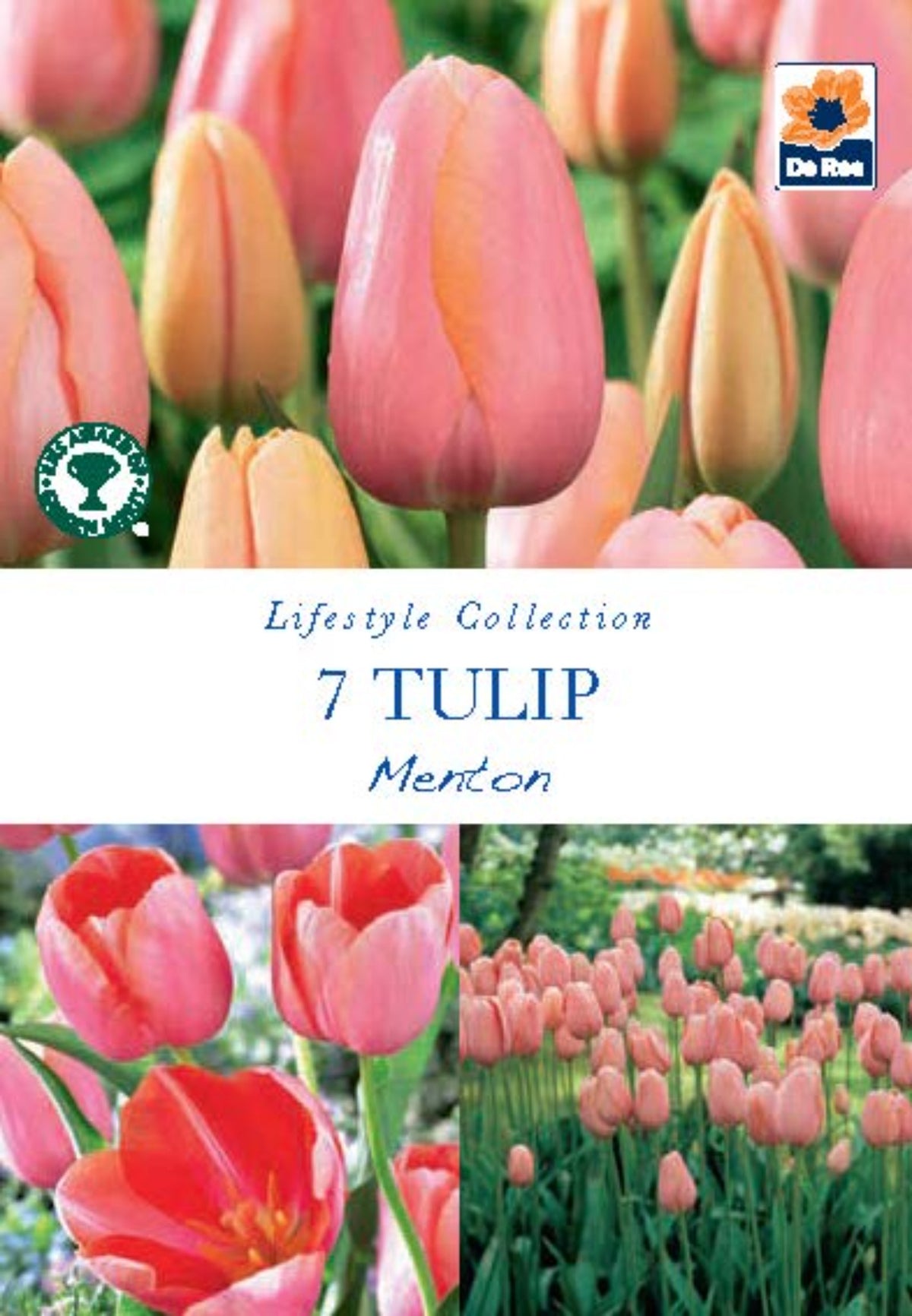 Tulip &#39;Menton&#39; (5 Bulbs)
