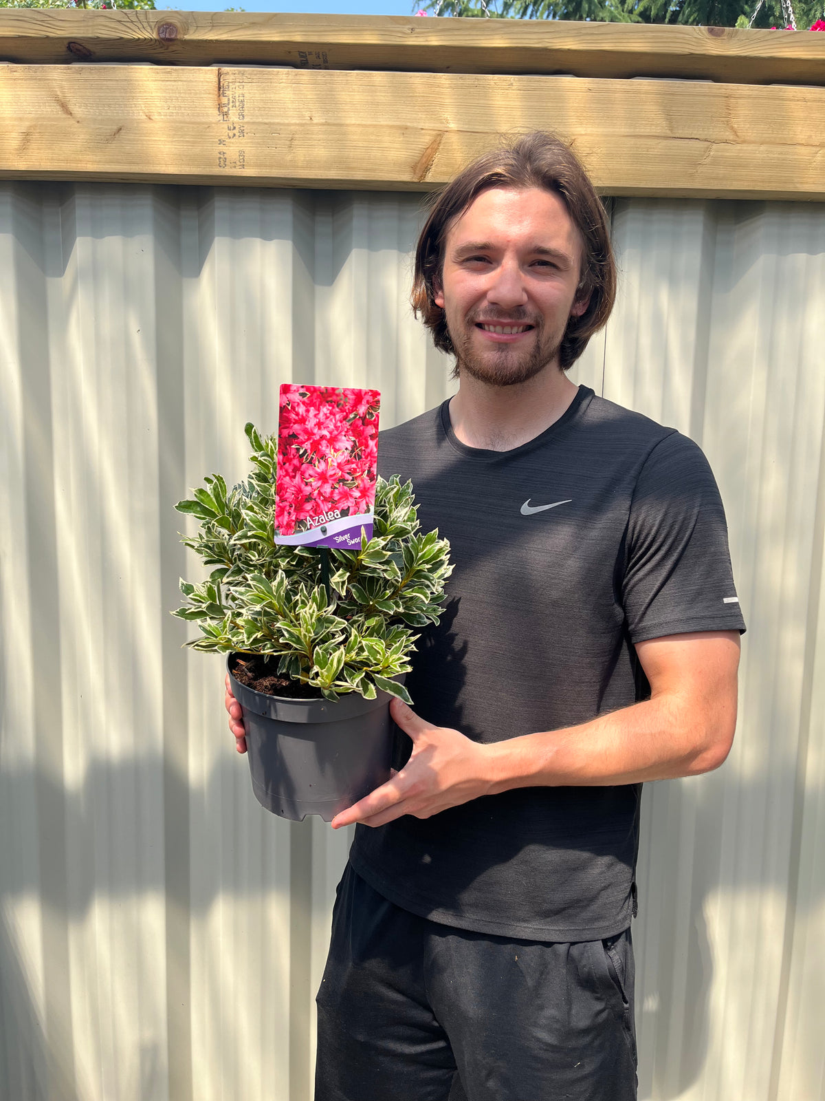 A young man with shoulder-length brown hair, dressed in black, smiles as he holds an Azalea &#39;Silver Sword&#39; (1.5L/3L) with variegated foliage and a tag showing pink flowers, standing before a corrugated metal fence.