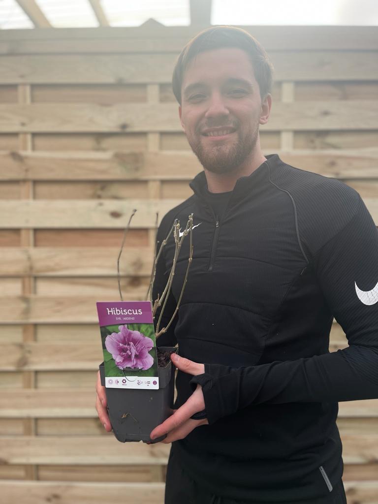 A man in a black jacket stands by a wooden fence, smiling as he holds a Hibiscus syriacus &#39;Ardens&#39; 1.5L—a drought-tolerant flowering shrub labeled with its large pink bloom.