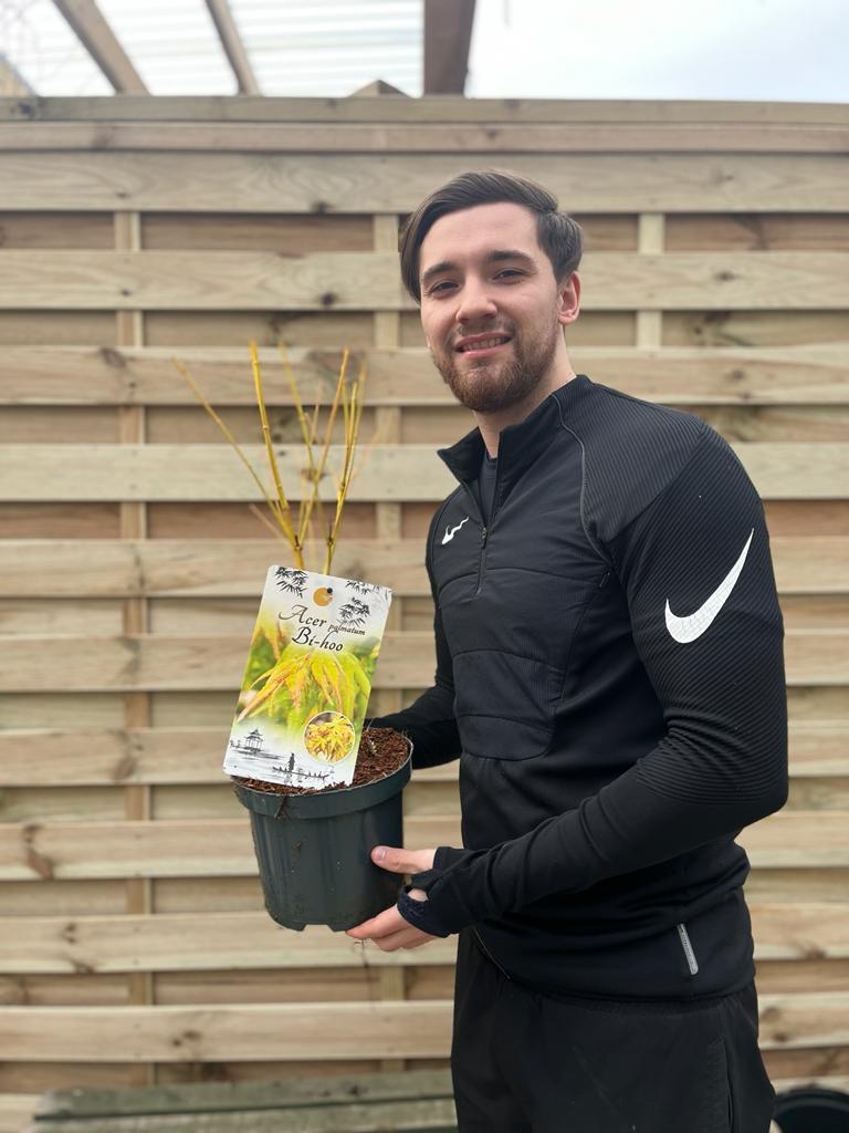 A man in a black tracksuit stands outside, smiling and holding an Acer palmatum Bi-ho 3L—a beautiful deciduous Japanese maple—by a wooden fence.
