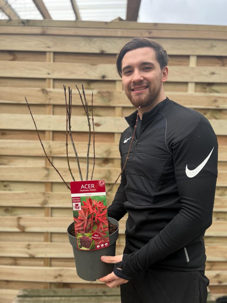 A smiling person in black sportswear holds an Acer palmatum Shaina 3L, a deciduous shrub with vibrant red foliage, while standing in front of a wooden fence.