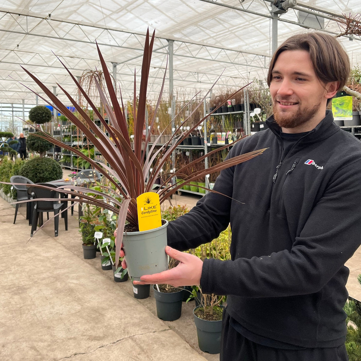 A man in a black jacket stands in a plant nursery holding a Cordyline australis &#39;Red Star&#39; with bronze-red foliage and a yellow label. Behind him are shelves displaying various potted plants, including tropical palms.