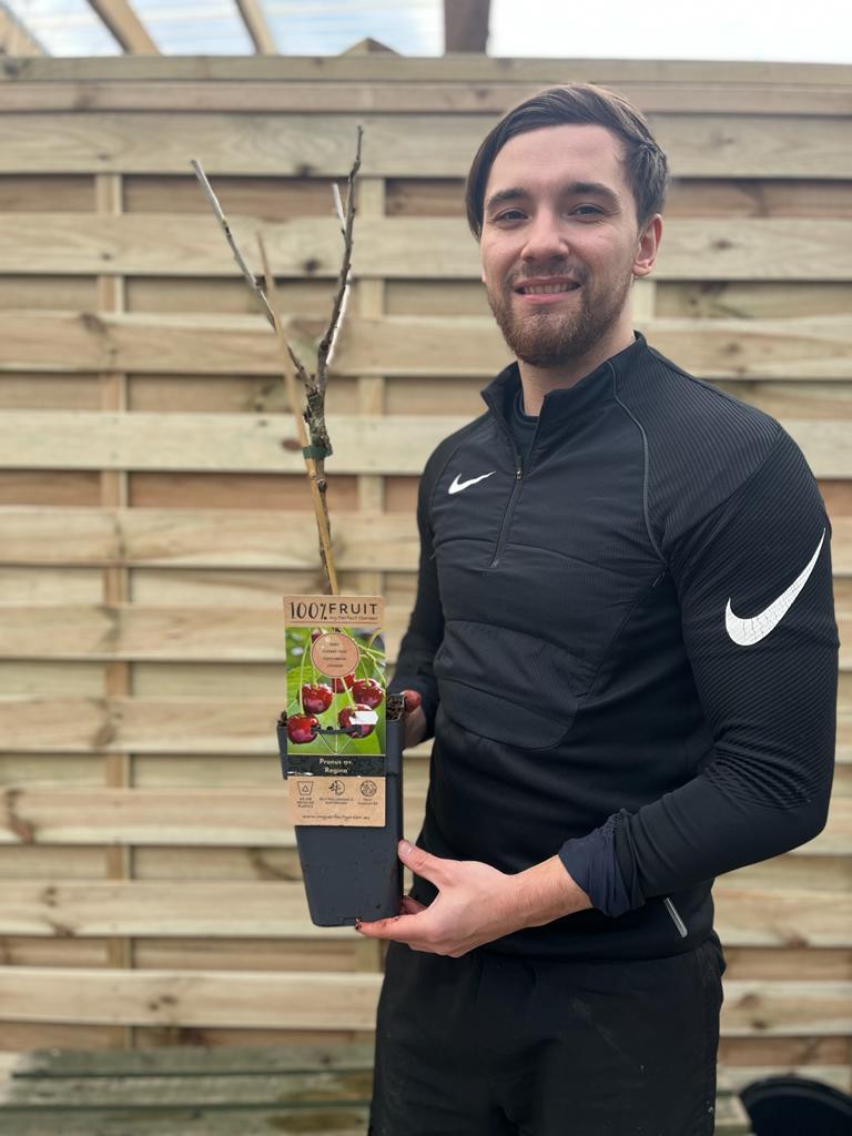 A man with short brown hair and a beard, wearing a black Nike jacket, stands outside holding a potted Dwarf Patio Cherry Tree &#39;Regina&#39; (2 Sizes Available), labeled 100% fruit—ideal balcony fruit tree—beside a wooden fence.