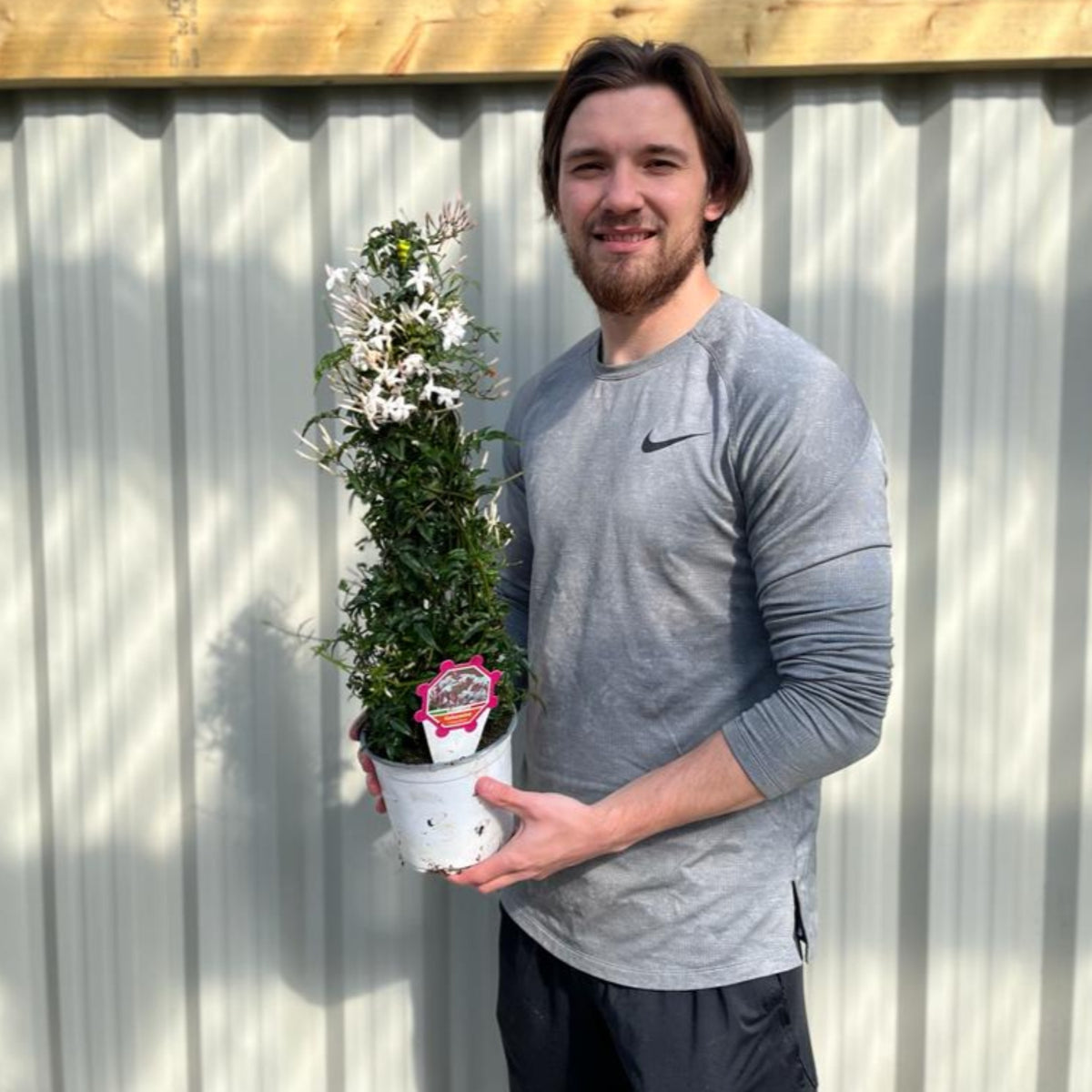 A man with brown hair and a beard, in a gray long-sleeve shirt and black shorts, stands outside smiling in front of a corrugated metal wall, holding a Jasmine polyanthum 2L, a fragrant climbing plant with white flowers.